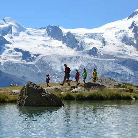 Отель Swiss Family Alphubel
